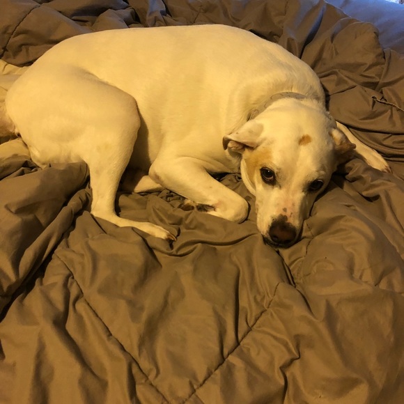 Meet your Posh Ambassador Jamie V!! - Picture 3 of 6